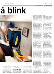 Síða 13