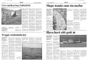 Síða 3