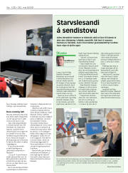 Síða 17