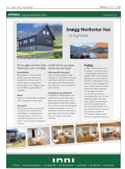 Síða 19