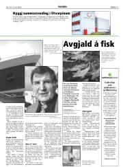 Síða 11