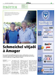 Síða 17
