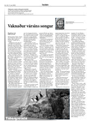 Síða 13