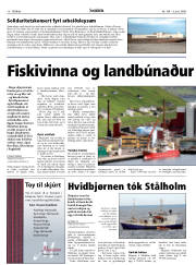 Síða 18