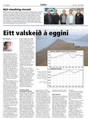 Síða 20