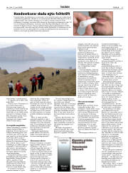 Síða 21
