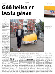 Síða 22