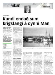 Síða 17
