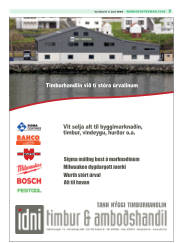 Síða 3