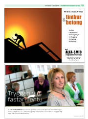 Síða 13