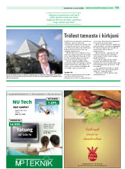 Síða 19