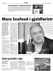 Síða 8