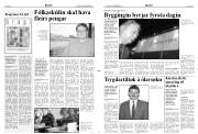 Síða 3