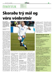 Síða 17