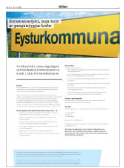 Síða 3