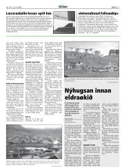 Síða 11