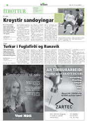 Síða 20