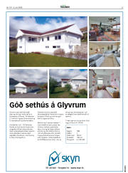 Síða 25