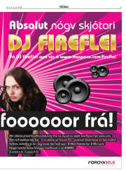 Síða 29