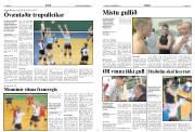 Síða 12