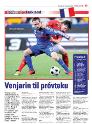 Síða 17