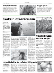 Síða 11