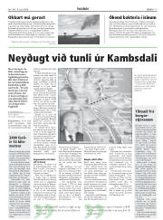 Síða 17