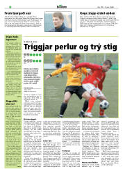 Síða 22