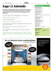 Síða 29