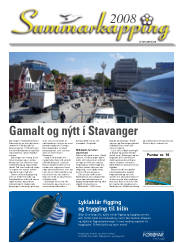 Síða 43