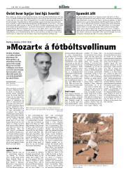 Síða 17