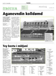 Síða 13