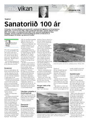 Síða 15