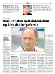 Síða 17