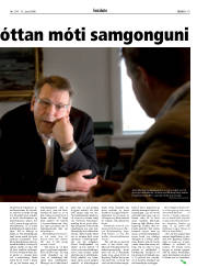 Síða 19