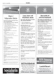 Síða 31