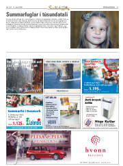 Síða 41
