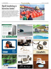 Síða 42