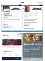 Síða 2