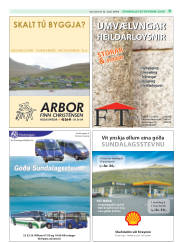 Síða 31