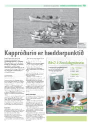 Síða 35