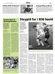 Síða 19