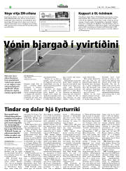 Síða 20