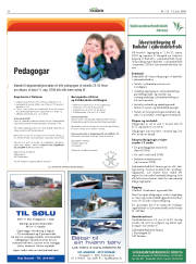 Síða 30
