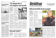 Síða 8