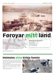 Síða 29