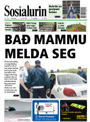 Síða 1