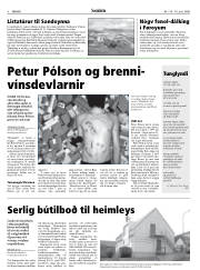 Síða 8