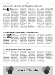 Síða 13