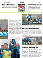 Síða 21